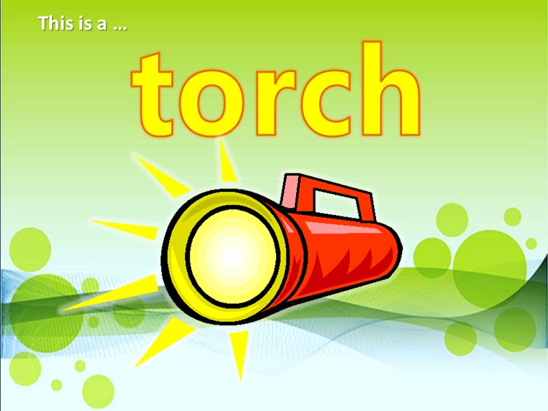 torch This is a …